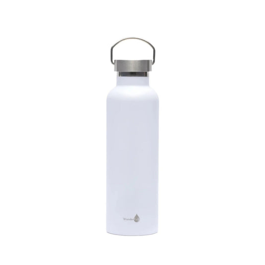 Water Bottle SS Water bottle Silver Top
