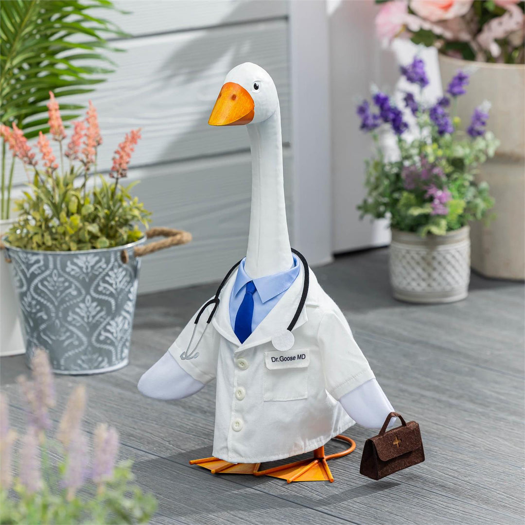 Giddy Doctor Outfit  -  Dr. Goose