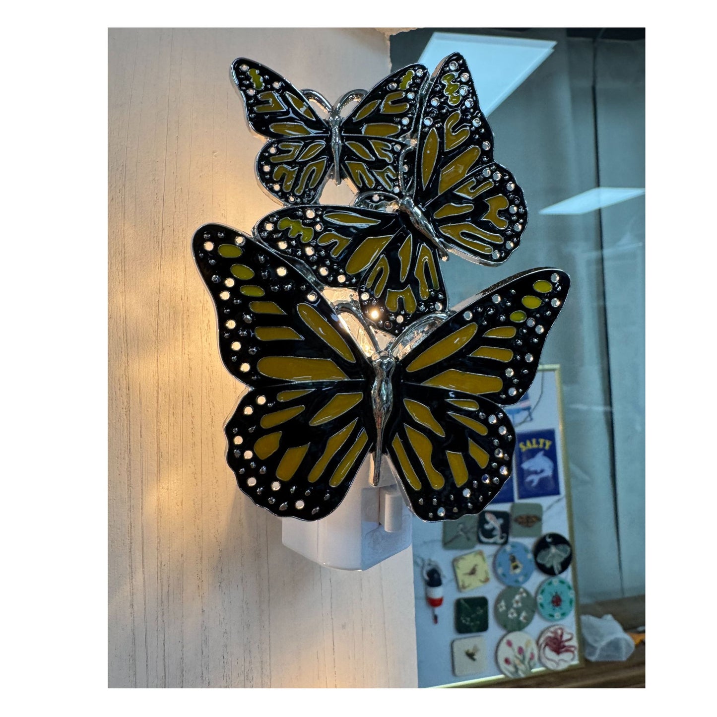 Night Light Variety to choose from