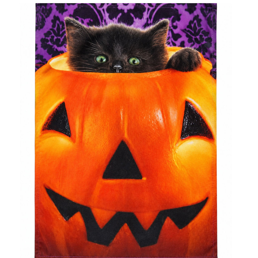 Black Cat in Pumpkin Hallowen Garden Flag